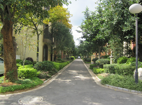 萬輝星城C期樣板園景觀施工實(shí)景-景觀施工