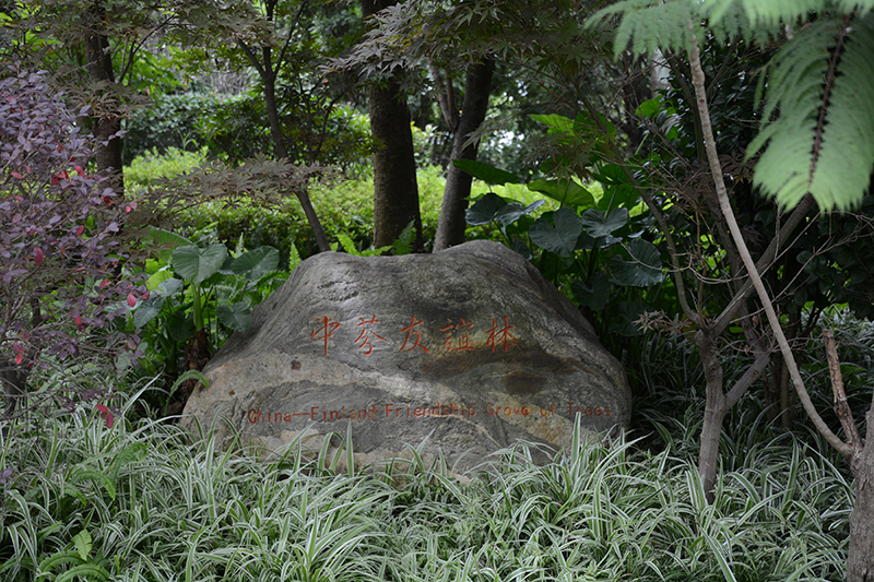 污泥廠-景觀施工